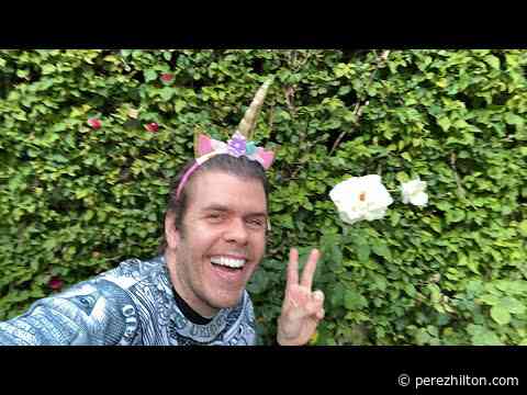 Jeffree Star Beefing With James Charles – Again! Pete Davidson Is Obsessed With Me! Ellen DeGeneres Hates Her Staff! And MORE! | Perez Hilton