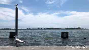 Waterfront BIA urges residents to avoid peak hours to 'flatten the visitor curve'