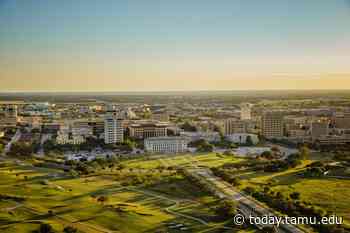 Texas A&M Names 10 Arts And Humanities Fellows For 2020 - Texas A&M University Today