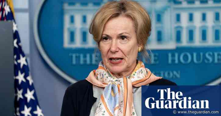 Dr Deborah Birx captivates internet with changing scarves for Covid-19 briefings – video