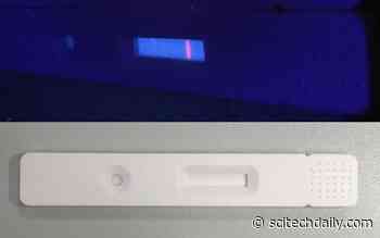 Sensitive New Test Detects COVID-19 Antibodies in Only 10 Minutes