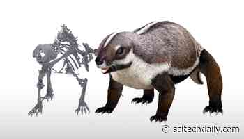 66-Million-Year-Old ‘Crazy Beast’ Marooned on Mesozoic Madagascar