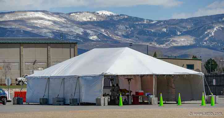 Utah tech CEO behind TestUtah showed early interest in malaria drugs