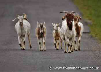 The natural world as seen by Bolton News Camera Club members