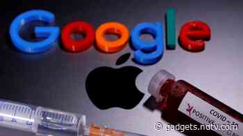 Google Travel Data Show Lockdown Fatigue in US, Australia; Other Countries Stay Home