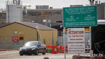 85% of workers afraid to return as Alberta meat plant preps to reopen after COVID-19 outbreak, union says