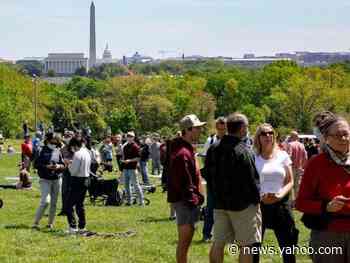Large crowds gather to watch Thunderbirds salute frontline coronavirus responders