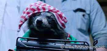 Crazy Trailer for 'Killer Raccoons 2: Dark Christmas in the Dark' Movie