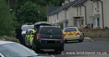 Armed police deployed to disturbance where an air weapon is discovered