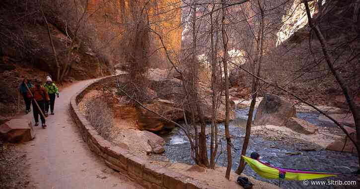 Live coronavirus updates for Sunday, May 3: Utah deaths reach 50 as 194 new cases are reported. Zion National Park plans to reopen ‘select areas’