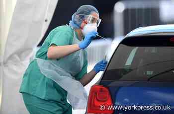 How to find out the number of coronavirus deaths there have been in your area