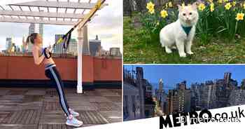 My Quarantine Routine: Louisa, a model and entrepreneur isolating in New York - Metro.co.uk