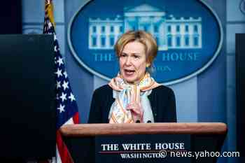 'It's Devastatingly Worrisome.' Dr. Birx Criticizes Anti-Lockdown Protesters in Michigan