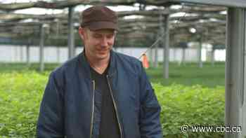 How COVID-19 is affecting Edmonton's seasonal workers - CBC.ca