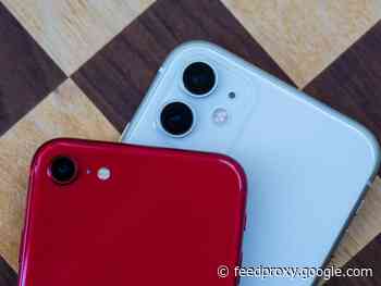 iPhone SE vs. iPhone 11: Comparing cameras from both phones     - CNET