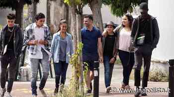 L'erba cattiva: storie di ragazzi difficili che poi tanto difficili non sono - IlNapolista