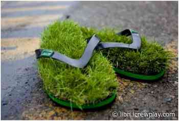 Earthing, A piedi nudi sull'erba, 2009. Un libro, un'arte. - iCrewPlay.com