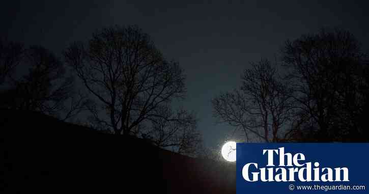 Country diary: darkness gets to be itself here