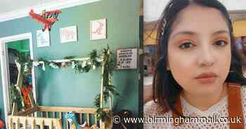 Mum creates amazing dinosaur bedroom for son and it cost under £250