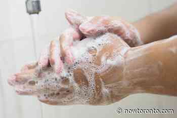 Coronavirus: Toronto opens portable public washrooms and shower stations - NOW Magazine