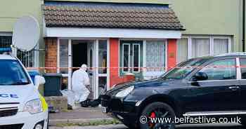 Holywood police investigation launched after reports man was tied up - Belfast Live