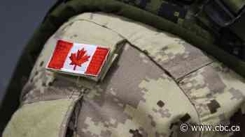 Liberators of the Netherlands in 1945, today Canada's Armed Forces are eclipsed by Dutch military