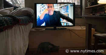 Jerry Seinfeld Is Making Peace With Nothing: I’m ‘Post-Show Business’