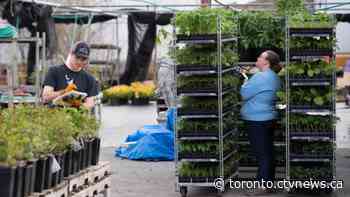 Some seasonal businesses to reopen today in Ontario as COVID-19 spread slows down