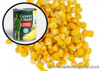 Green Giant sweetcorn sold at Iceland, Morrisons and Tesco urgently recalled
