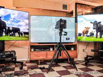 CNET's NYC lab is closed, so now I'm reviewing TVs in my basement     - CNET