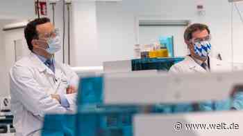 Pharmakonzern könnte Durchbruch bei Corona-Antikörpertest gelungen sein