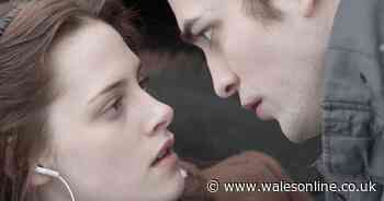 A new Twilight book is near - and fans are excited