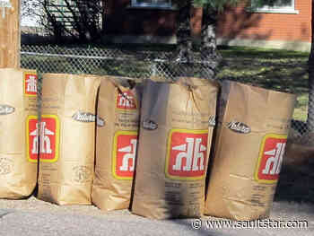 Yard and leaf collection start delayed