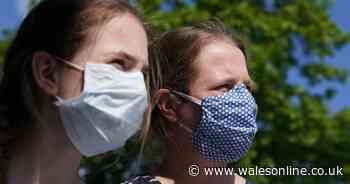 What you need to know from Monday's Welsh Government coronavirus briefing