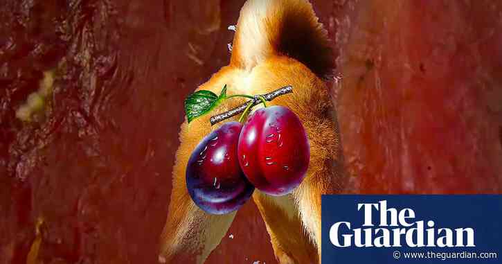 'It's great if you're bored with Netflix': video art flourishes in lockdown