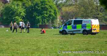The number of fines issued by Welsh police forces for lockdown breaches