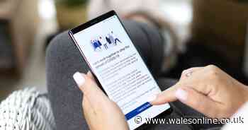 What we know about Wales' plans to use the contact tracing app