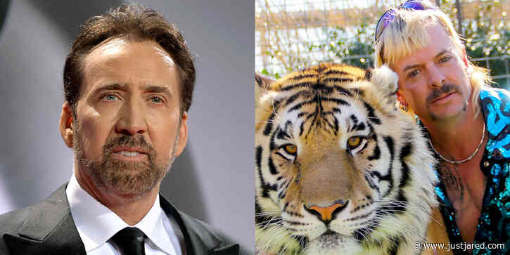 Nicolas Cage to Star As Tiger King's Joe Exotic!