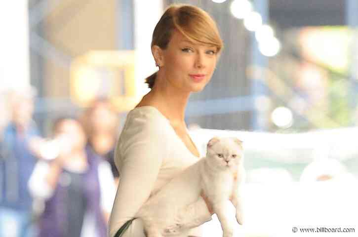 These Musicians Are Making the Best of Quarantine With Their Adorable Pets