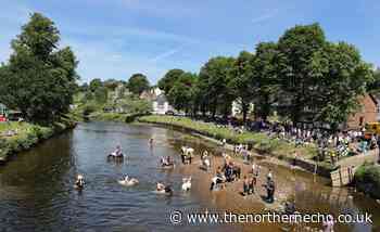 With Appleby Fair off, Gypsies are urged not to travel to County Durham - The Northern Echo