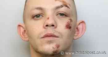 Man assaulted people because he could not take dog for walk