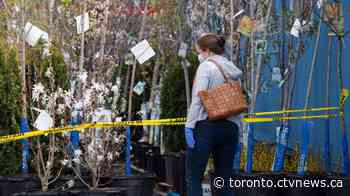 Ford says it's 'unfair' big garden centres are fully operational while smaller businesses struggle