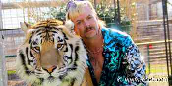 Nicolas Cage to play Joe Exotic the Tiger King in first TV role, report says     - CNET