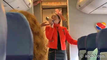 Houston flight attendant sings to help passengers stay calm on plane