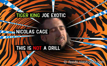 Nicolas Cage to play Joe Exotic in Tiger King series