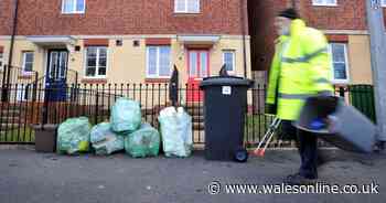 Police called after someone put bag full of used tissues out for recycling