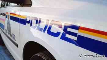 RCMP arrest 2 after string of break and enters in central Sask.