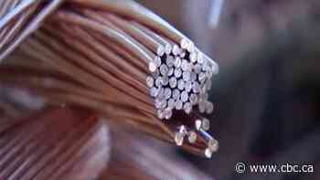 SaskPower employees fired over $12K copper theft: province