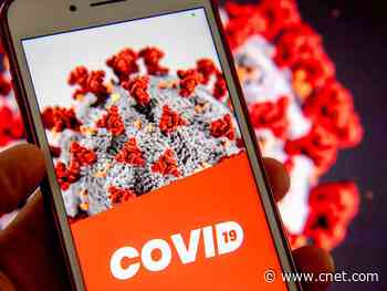 UK to begin testing coronavirus contact-tracing app without Apple and Google     - CNET