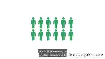 What states are opening up, and when? States are constantly changing their restrictions – here's a list
